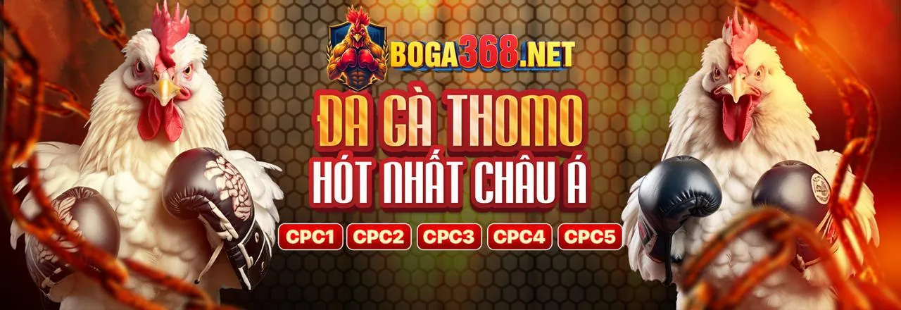 Đá Gà Trực Tuyến Hấp Dẫn tại 8bet code