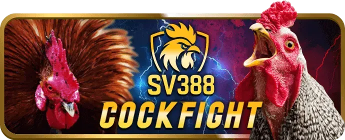 Các chương trình khuyến mãi và ưu đãi hấp dẫn tại 8bet code